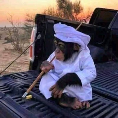 #صورة_جديدة_للملف_الشخصي