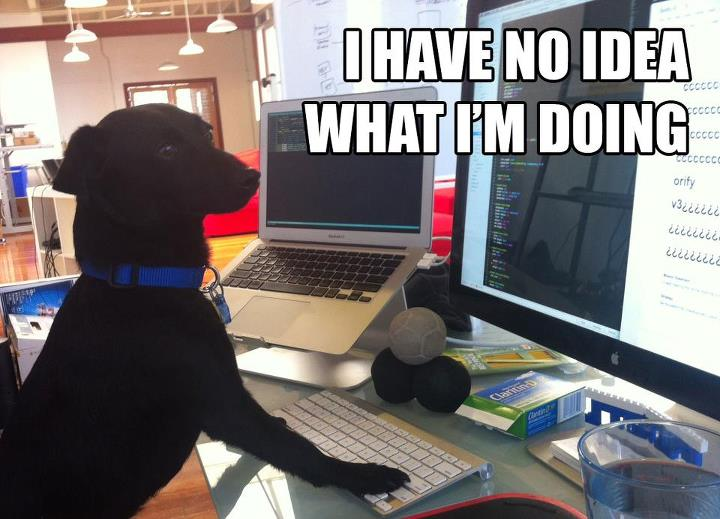 I have no idea what i'm doing. Dog i have no idea what i'm doing. Пес за компьютером i have no idea. Мем im done.