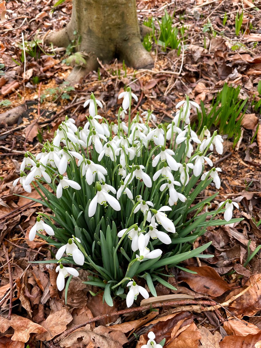 suemarshcoaching tweet media