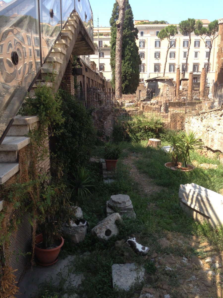 BRUTUS: If then that friend demand why Brutus rose against Cæsar, this is my answer: Not that I lov’d Cæsar less, but that I lov’d Rome more.
JULIUS CÆSAR, 3.2 
 #ShakespeareSunday
THEME: Love #ILoveRome PHOTOS: Pompey’s Porch and it’s environs where Cæsar was assassinated