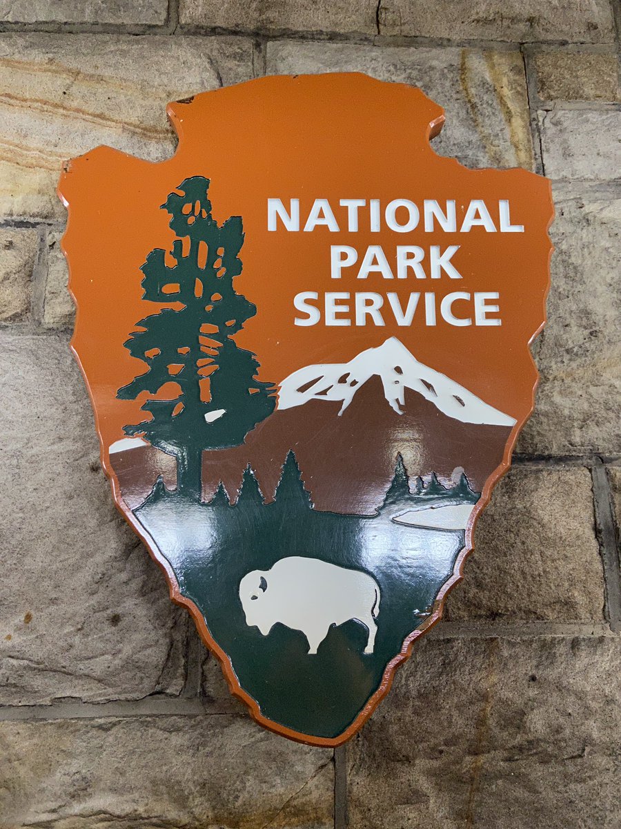 Daniel Bachmann tweet media