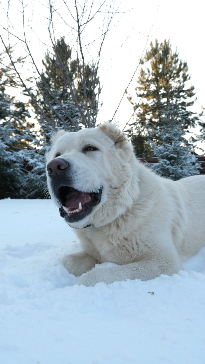 Акдустан барыгызга да сәлам!