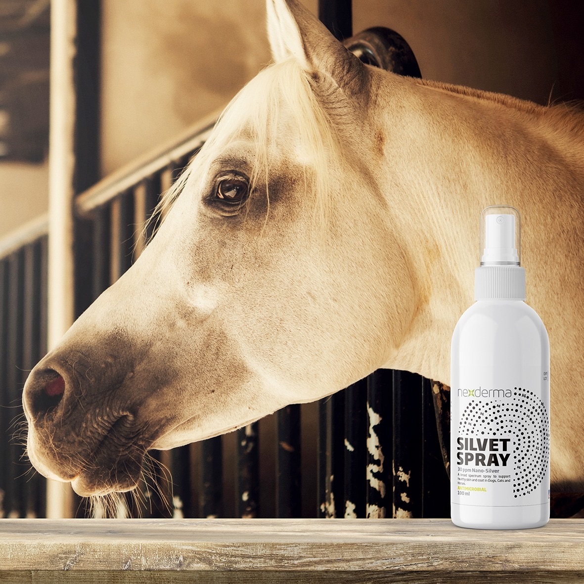 nexdermavet's tweet photo. Silvet® Spray⁠
Colloidal nanoparticles of silver
All natural, no stinging or discoloration to skin or fabrics.
Can be used as a cleanser and is great for ulcerated wounds
A consistent measure of 30 ppm is administered with each application without requiring to shake the product https://t.co/Y9mCvEqqxL