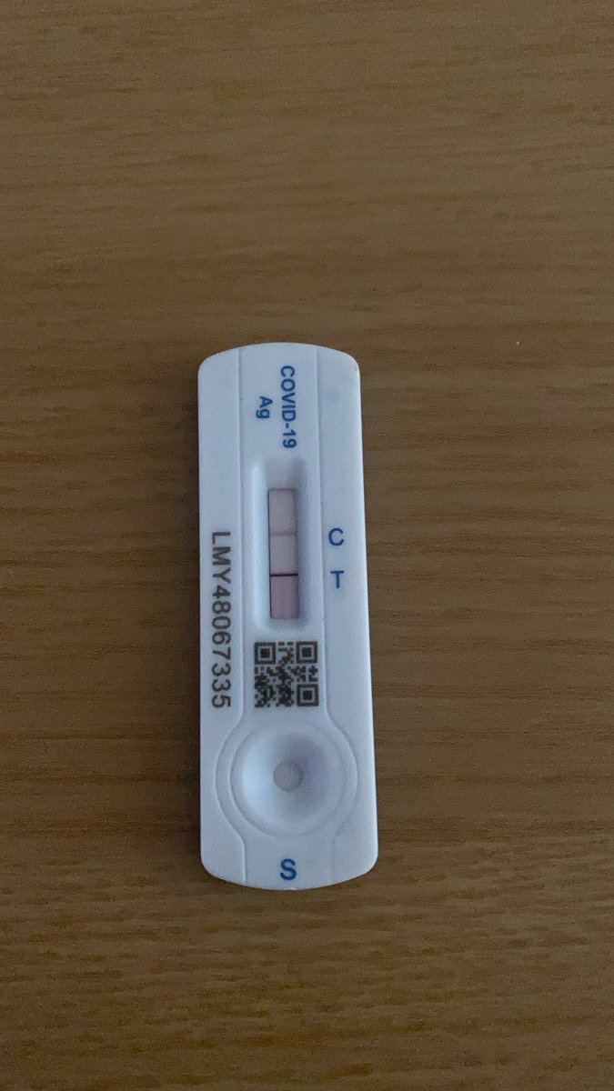 MissZEvans's tweet photo. Me: you’ve really earned this half term break Zo, get yourself out there, meet some people, make the most of it. 
Universe: moohahahahaha https://t.co/BzKgTHmnxc