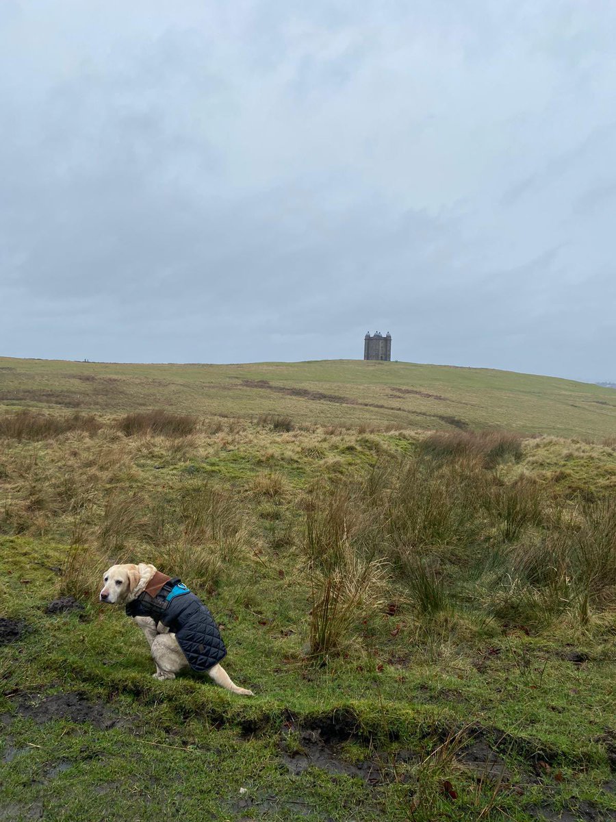 triggs14's tweet photo. Lovely day for a big Tory walk in Lyme park. Jibbed in the back way rather than pay £8 obvs. #LTVL https://t.co/SreFqArrxw