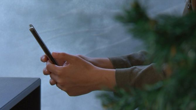 3CatInfo tweet media