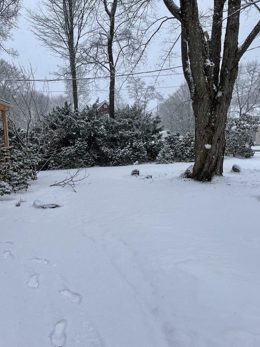 andrew feltus tweet media