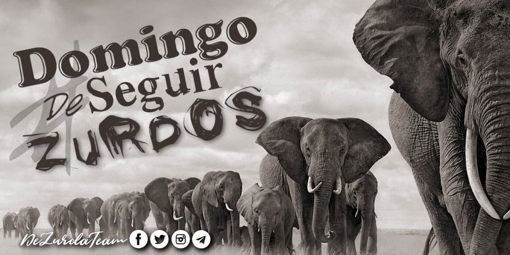 #DomingoDeSeguirZurdos, únete a los elefantes 🐘 de #Izquierda: 

@DavidDerivas 
@AlasDeAmorCuba 
@Aleon871 
@ArielPitaF 
@Dualix84
@RomanYelina 
@martinez_270115 
@Viltre2 
@BrownSugarNic 
@tzumarcos
@BettyLaRosa12
@eliades_mejias
Y a mi 🙃😌: @KeylerING 🤣

#DeZurdaTeam