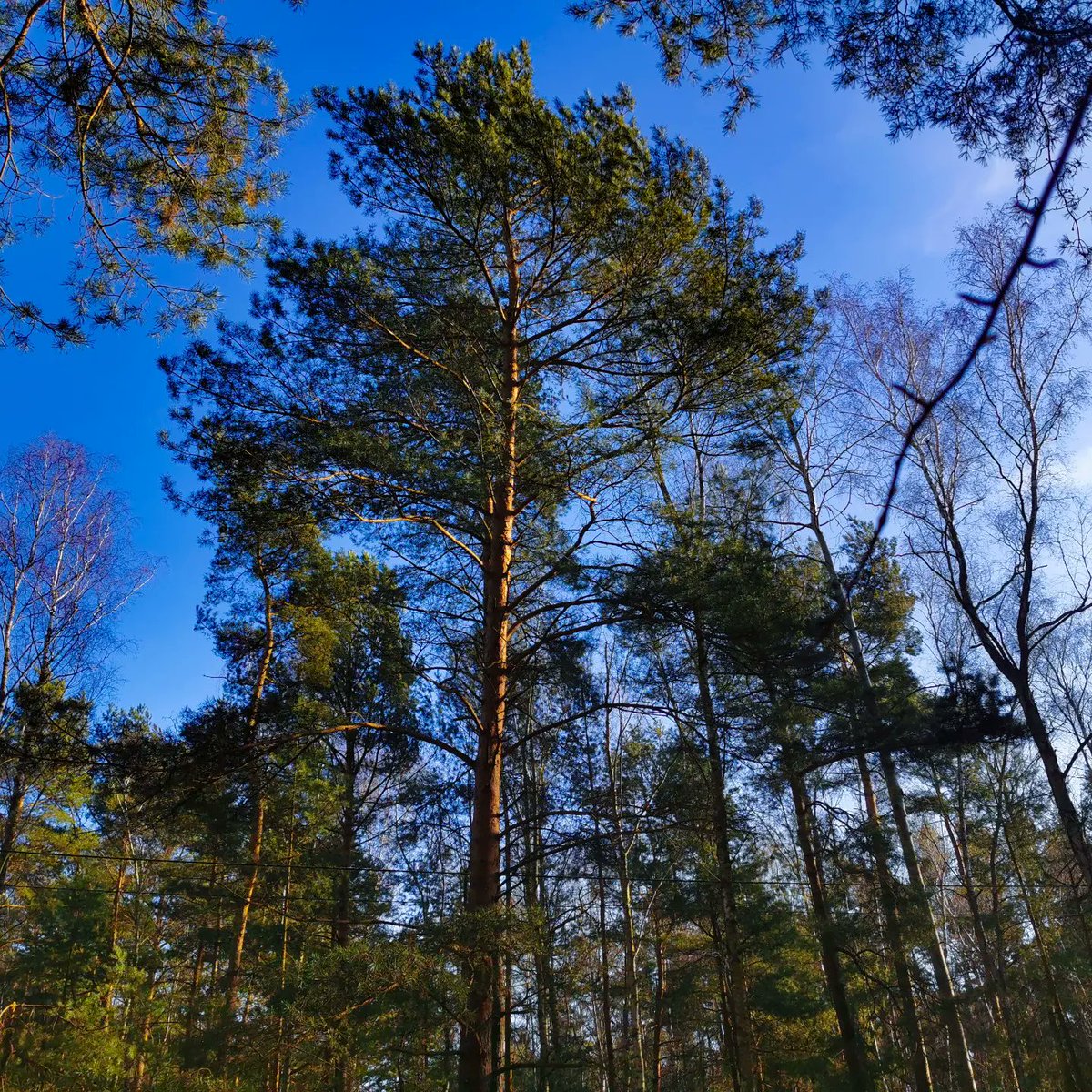 Niezkrwiazduszy's tweet photo. Wspólny słoneczny spacer, a za chwilę dzieci odwozimy na surviwalowe zimowisko, a my mamy tydzień luzu 😉

P. S. Prawda, że pierwsza fotka wyszła świetna?

#my #rodzina #mama #tata #dzieci #córki #syn #morze #familytime #familyphotography https://t.co/WsU8AqY04e