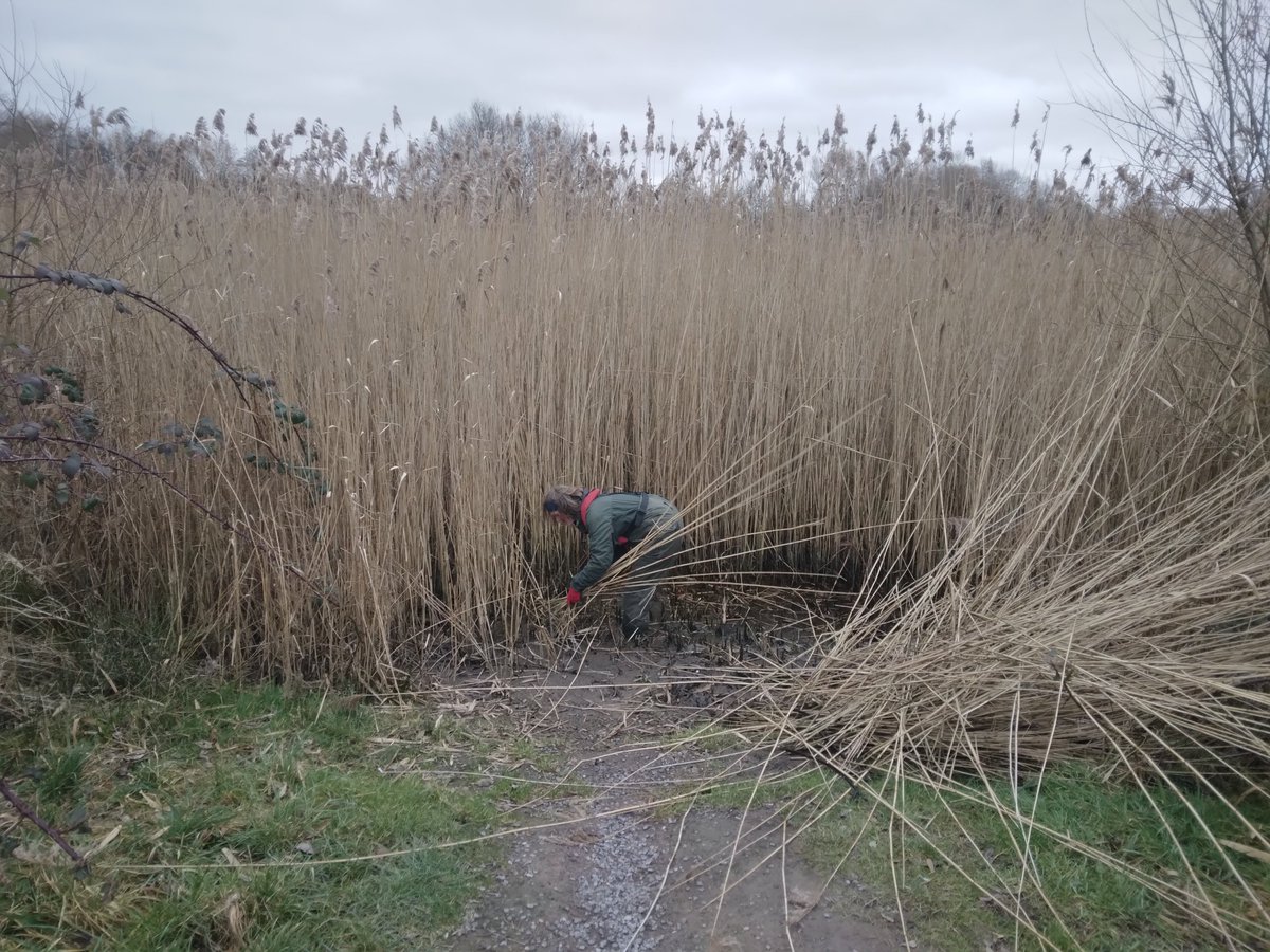 Rachel Remnant tweet media