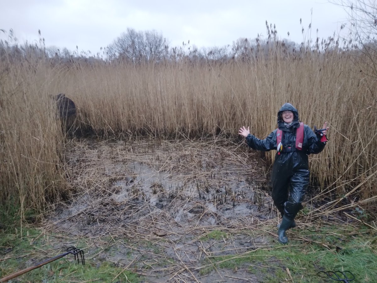 Rachel Remnant tweet media