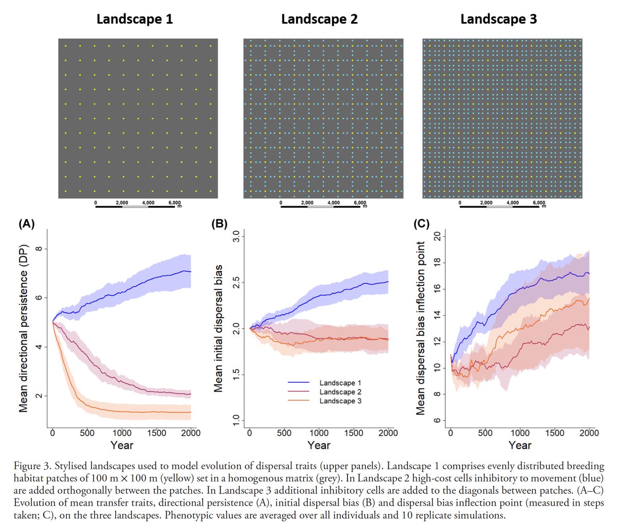 oaggimenez's tweet photo. 2 💯 papers led by @BocediGreta & Malchow et al. implementing IBMs for complex pop dyn and dispersal behavior, including plastic & evolutionary processes #RangeShifter2.0 & #RangeShiftR #rstats
🧵 @ZurellLab https://t.co/V7vmB5xb1t
Tutorials https://t.co/XGkpuTF4Tn
🗞️#34-2022 https://t.co/n9qOMQ3N5T