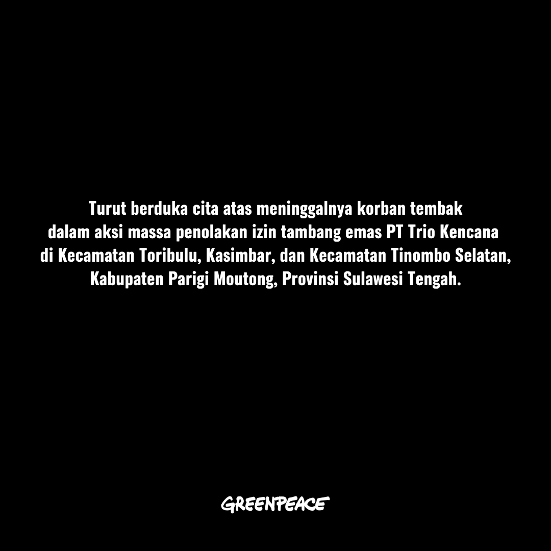 Greenpeace Indonesia mengutuk keras segala bentuk aksi kekerasan.
