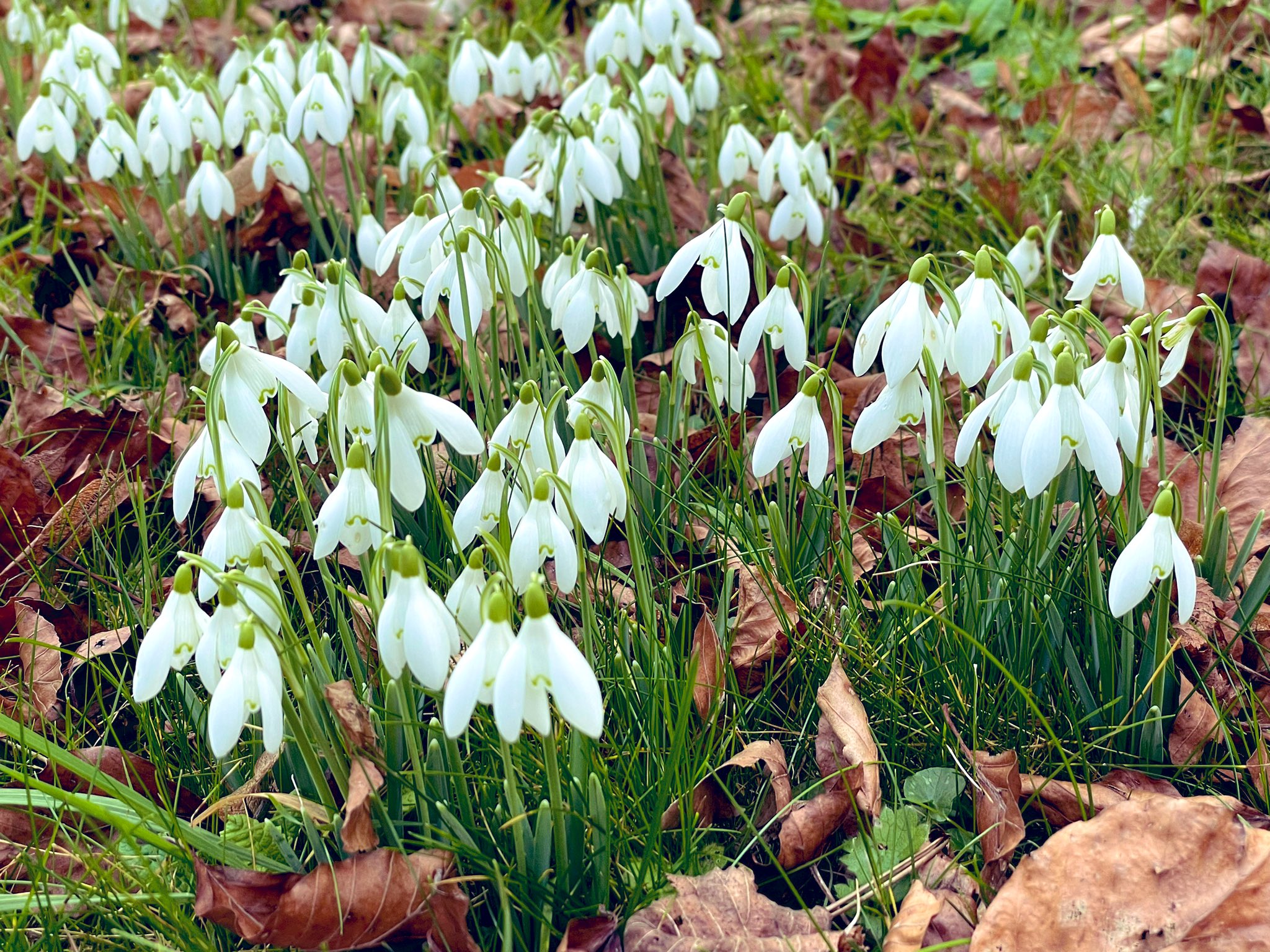 Grace Roche (@gracee_roche) / Twitter