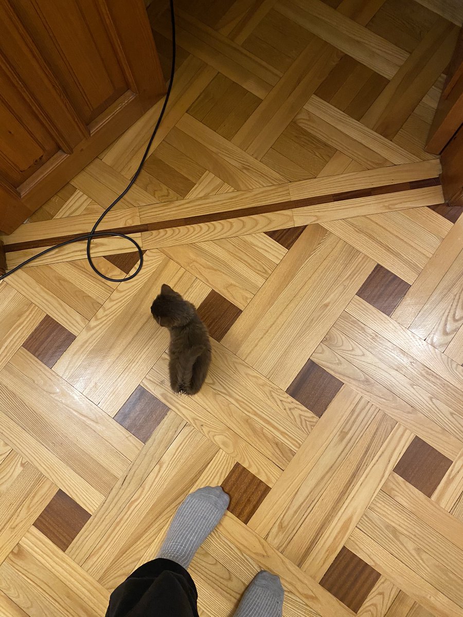 nagiev070's tweet photo. @Meow_So Как быстро растут чужие дети, совсем недавно был такой маленький https://t.co/pnBpZDi95w