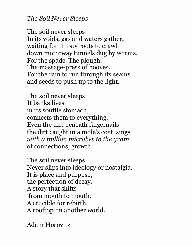 ryefordmill's tweet photo. @JenProf @ZwartblesIE @SoilNeverSleeps @Adam @adamhorovitz @PalewellPress If you liked the opening lines of Mob Grazing then here is the title poem of @TheSoilNeverSleeps – with the agreement of @Adam Horovitz.  To read more you can order the book through your local bookshop or at https://t.co/8Fddwf7ecr.   @PastureForLife https://t.co/1x09UBOn9h