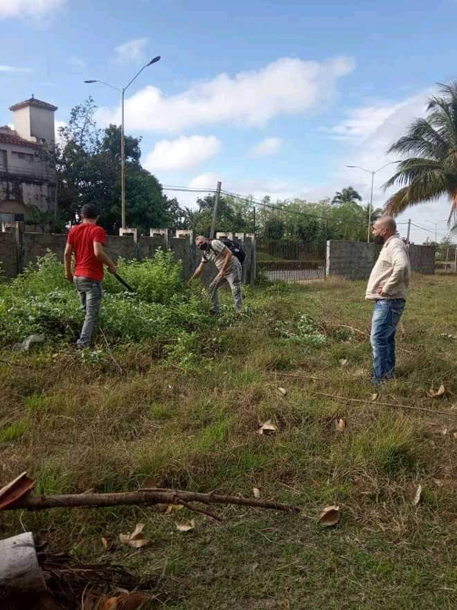 SaludDPinar's tweet photo. Jornada de trabajo voluntario se vivió hoy por estudiantes y trabajadores de la #UCMPinar en saludo al centenario de la FEU de Cuba, pues #SomosCuba ✍📸 FEU UCM Pinar 
#SomosContinuidad
#SomosFEU 
#RumboAl100FEU
#PinardelRio, #CubaSalva #CultivandoRevolucion #PorNuevasVictorias https://t.co/BSUuCebn7Q
