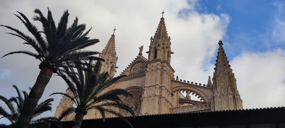 jocavil72's tweet photo. #volvermos #palma https://t.co/RcIzbiAfAz