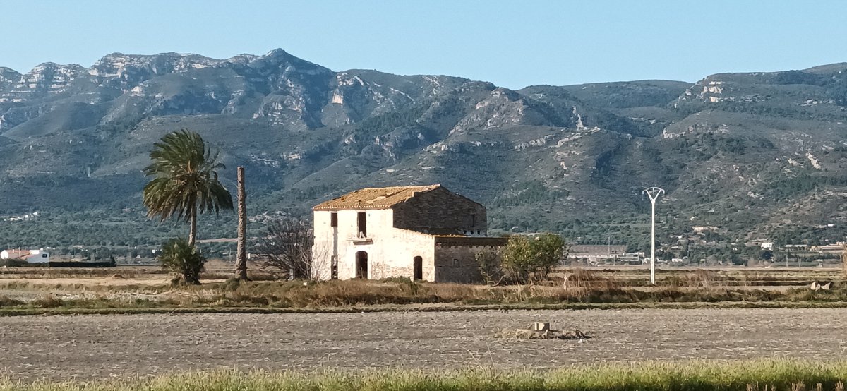 Arran d’una foto que va penjar <a href="/rapitenc/">⭐️ Santi</a> d’un mas del que mai n’havia sentit a parlar, ha resultat en una troballa de gran valor, i a la vegada desconeguda, desconeixement que cal revertir perquè el seu valor històric requereix de mesures per salvar-lo de la seua desaparició. FIL