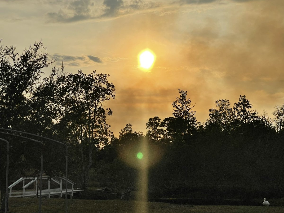 KU5E's tweet image. #snapthesun