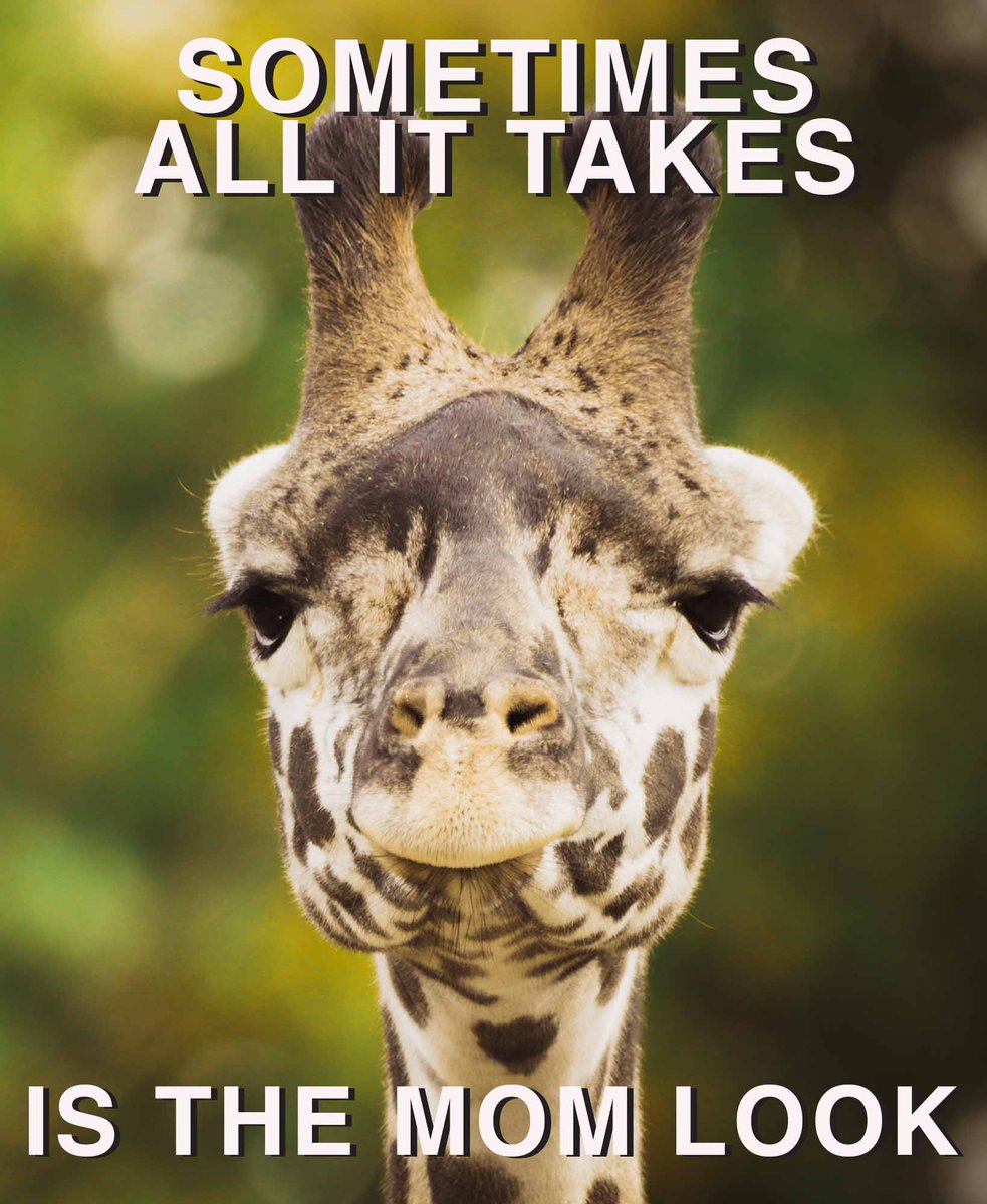 #themomlook #meme #memes #parenting #giraffe #naturephotography #darkroomimages #funny #viral #animalmemes #torontozoo #lol