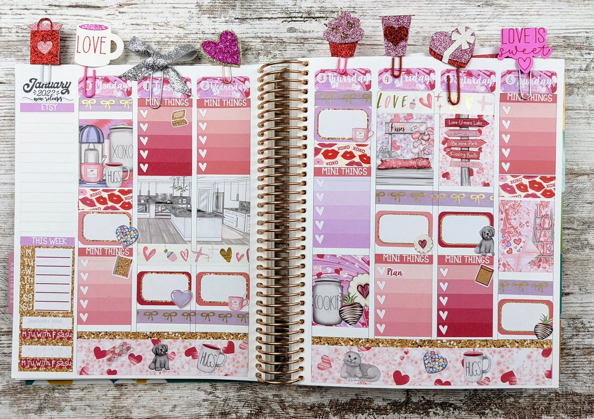 Before the pen in my Erin Condren. Love the touch of purple in this kit! 

#planwithme #planners #erincondrenlifeplanner #erincondren #plannerstickers