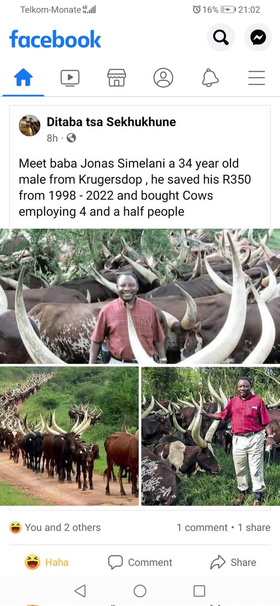 tumelonation's tweet photo. #SONA22 #RamaphosaMustGo #DaAnce https://t.co/5iLxGqGXiO