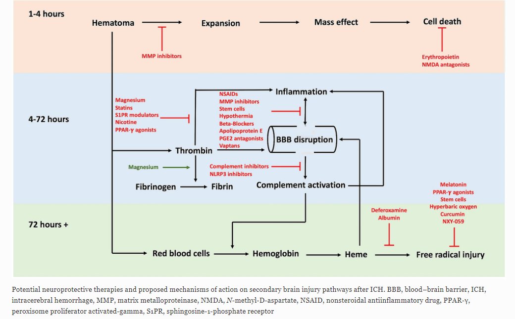 Neurocritical Care (@neurocritcarej) on Twitter photo Kearns et al:Neuroprotective Therapies for Spontaneous Intracerebral Hemorrhage
Link: ow.ly/m5R750Hwtiy
<a href="/neurocritical/">Neurocritical Care Society</a> #neuroCritCare Kearns et al:Neuroprotective Therapies for Spontaneous Intracerebral Hemorrhage
Link: ow.ly/m5R750Hwtiy
<a href="/neurocritical/">Neurocritical Care Society</a> #neuroCritCare