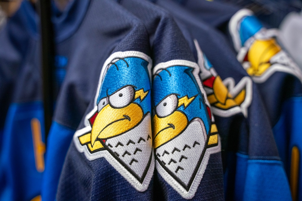 Tonight the Springfield Thunderbirds wore their new Ice-O-Topes jerseys for  Ice-O-Topes night. : r/hockeyjerseys