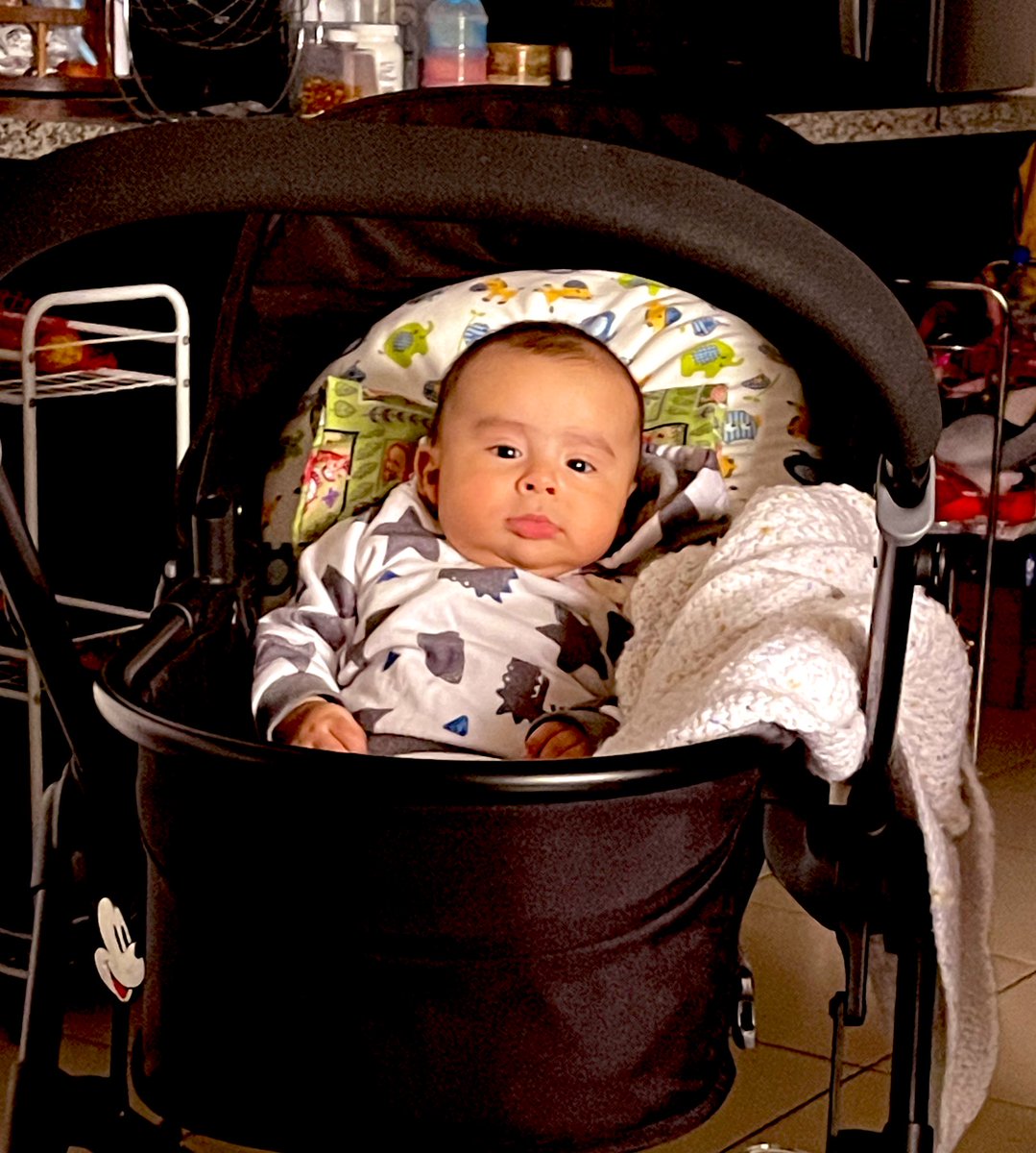 DrLouie88's tweet photo. Mi nuevo amigo y compañero de aventuras!! #luisalejandro @andy_rsr https://t.co/W9MA6U2ehe