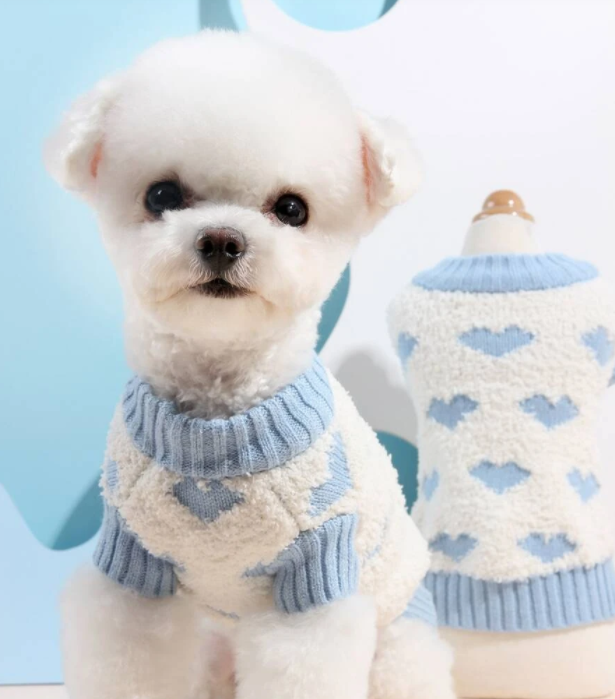 pencer_io's tweet photo. @hackthebox_eu One of these valentines jumpers for my dog please: https://t.co/9DBh04Ep0i