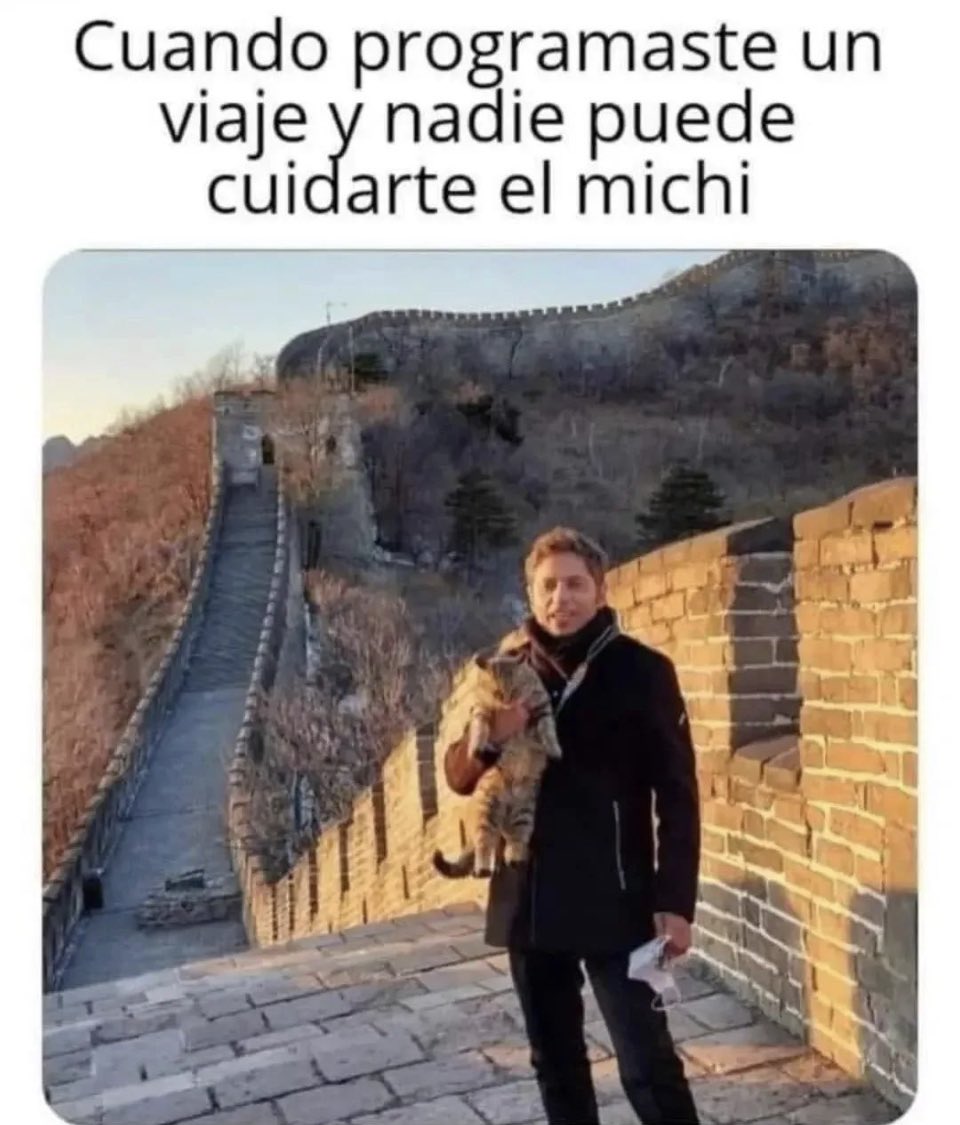 jessicalanger2's tweet photo. #amordegatos pero quien me lo cuida? Jajajaja https://t.co/FLxsvMs5wc