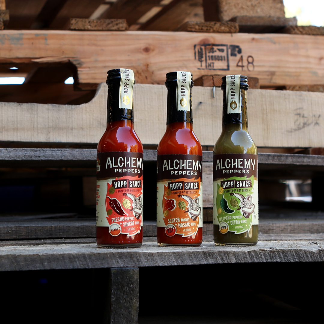 What do the best beers and hot sauces have in common?? Hops, of course! Hops help contribute to the different flavors in both our hot sauces and beer—including spicy, floral, citrusy, piney, herbal, etc. What are your favorite Hop infused beers that pair well with hot sauce? 🌶🍺