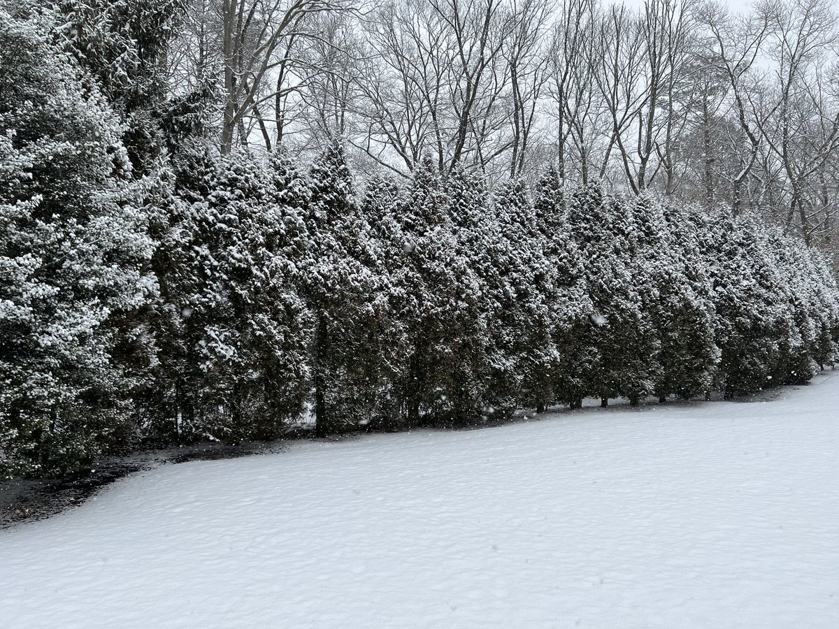 I know I said I missed the snow when I was in SoCal but yesterday it hit 60° and this morning I woke up to this