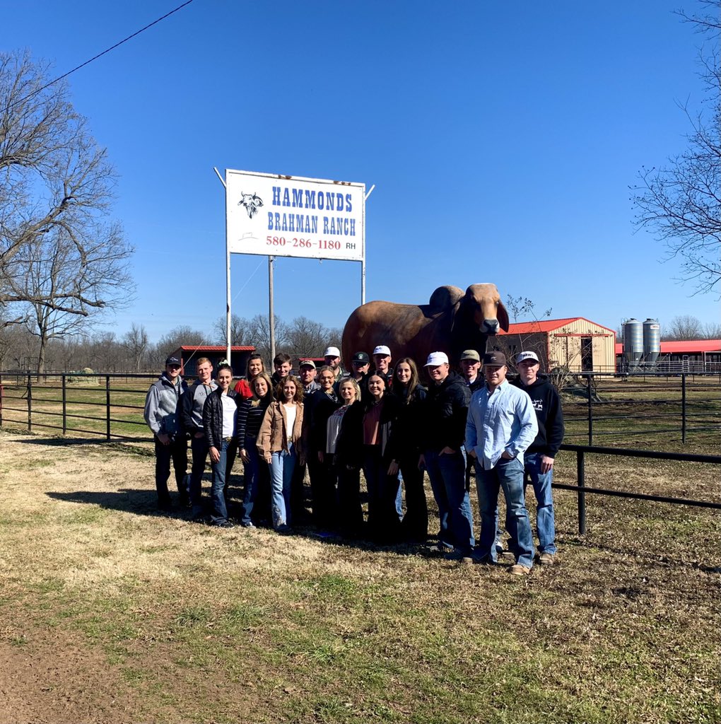 NOCLJT's tweet photo. Another awesome run for the NOC Livestock Judging Team in Jackson, MS today! The freshmen team won every division and had six garnish top 10 honors! It’s been a great weekend down south. https://t.co/z1s2b0Ys1u