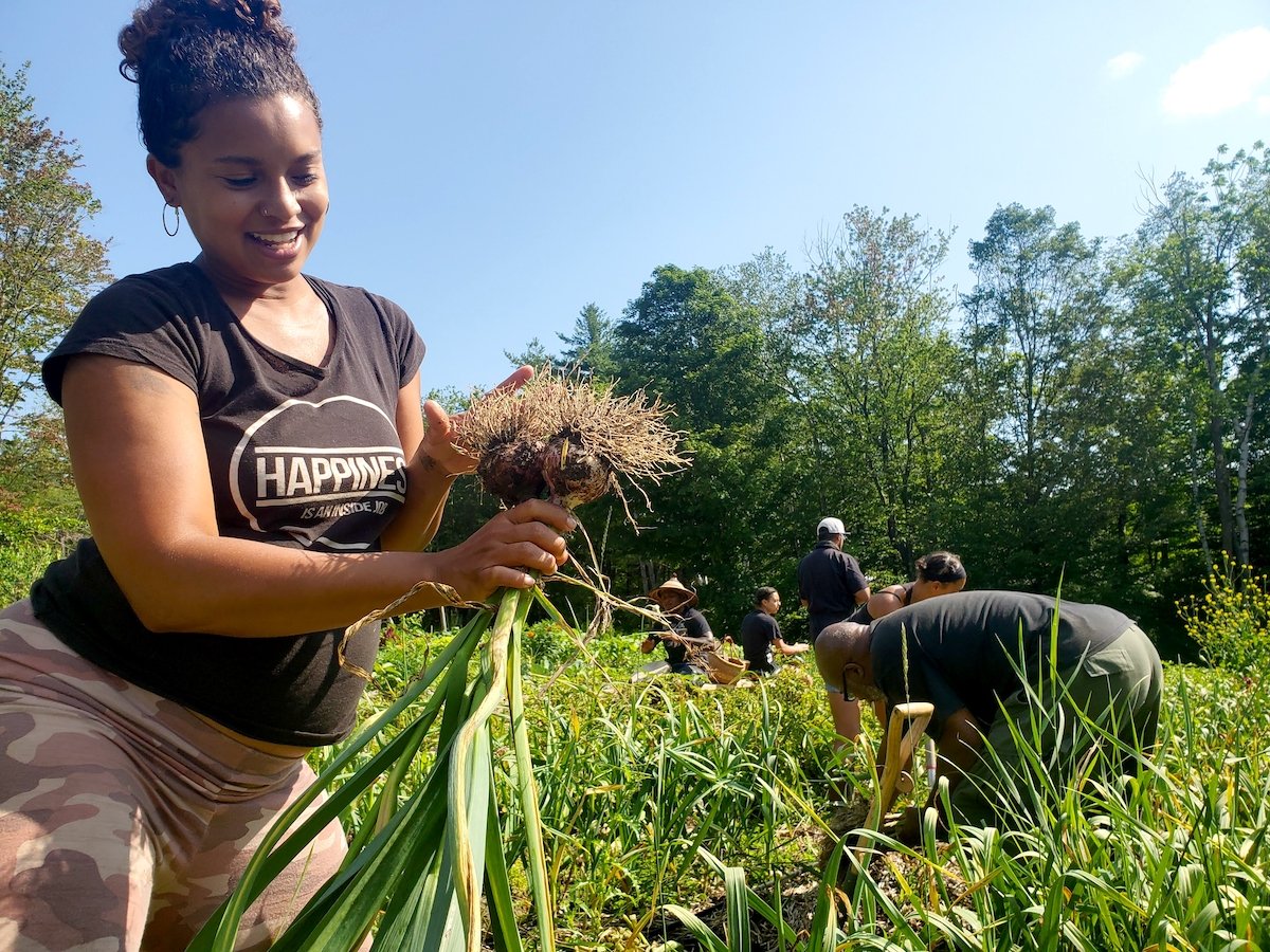 soulfirefarm's tweet photo. On Wednesday, 2/16 at 5:00 PM EST, join @beardfoundation, Food Justice Assistant Manager @thebabblingbrookemarie, and others for a discussion on the importance of preserving and securing Black foodways---from land justice and policy to food sovereignty.

https://t.co/ZhWNxtbvkX https://t.co/xBgLl11ARo