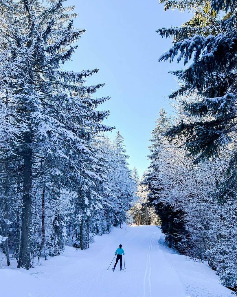 Week-end au frais ❄️ #frenchalps #weekendvibes #wintertime #alpesfrancaises #aixlesbains instagr.am/p/CZ6-1EbsLIl/