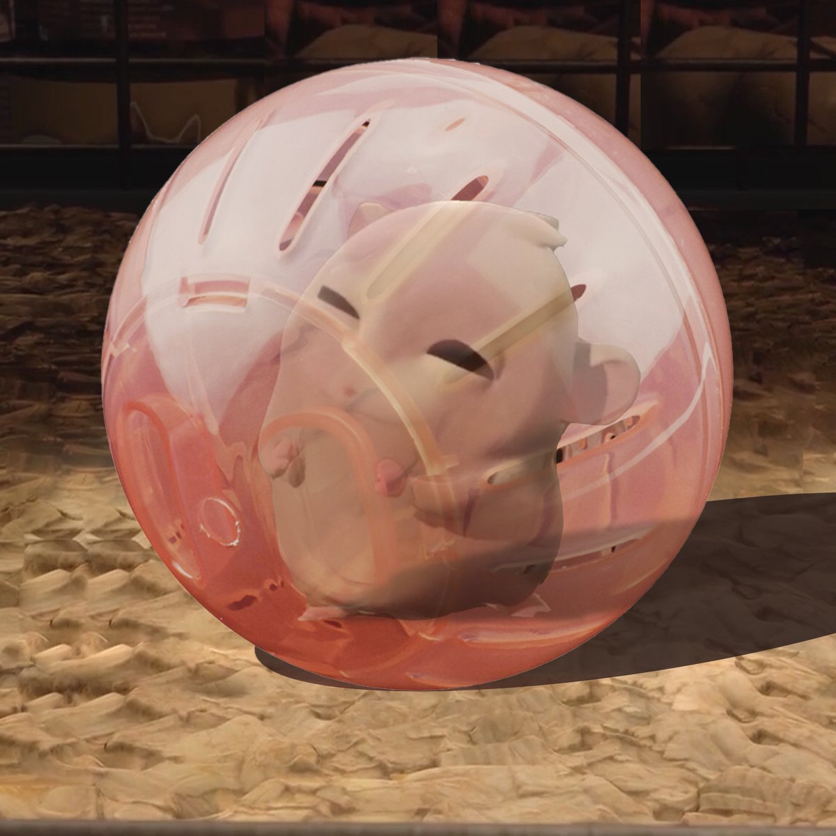 ROHamsters's tweet photo. Yeay! So happy 🤩
Marvin just gave me a new play ball~

#RobovskiNFT #RoborovskiJournal #NFTCommunity https://t.co/ym0797jnDV