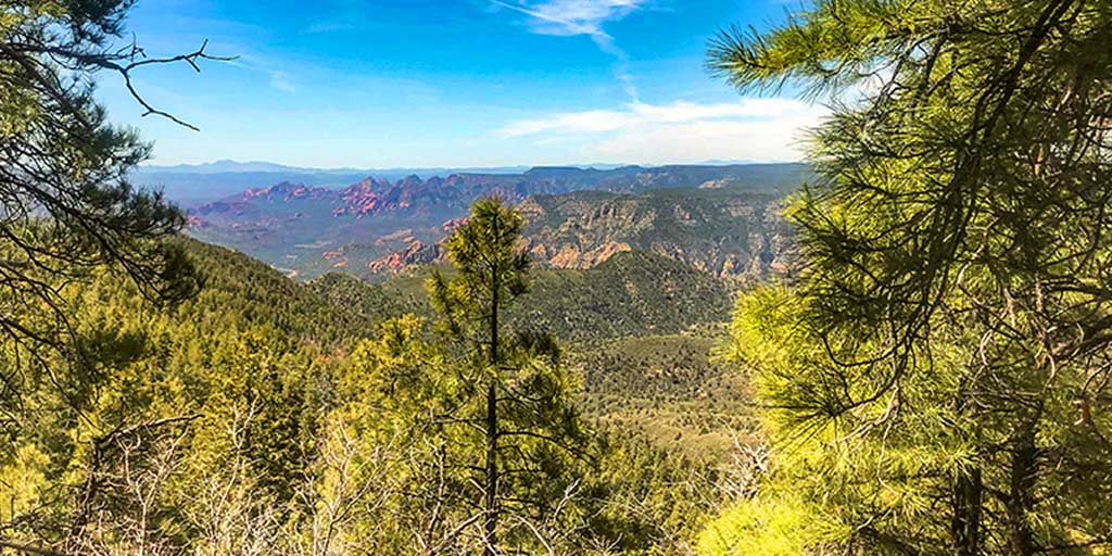 PrescottNF's tweet photo. “The clearest way into the Universe is through a forest wilderness.”
― John Muir https://t.co/3xVOtM5nVX