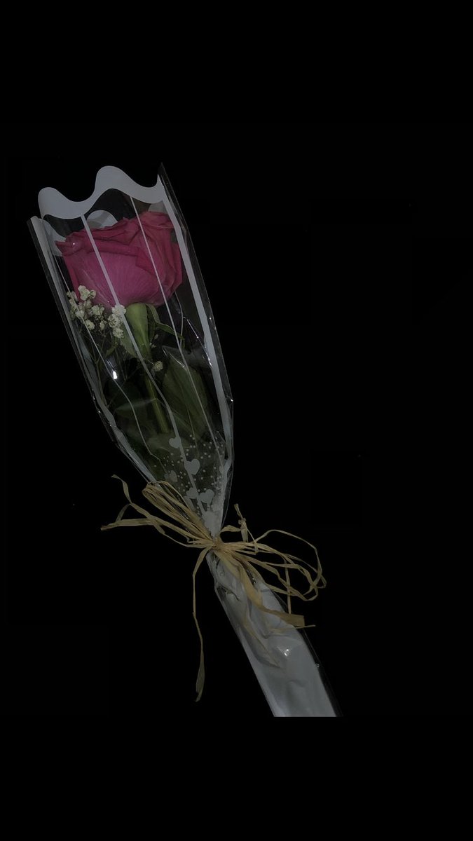 احلى شي صار بيومي الله يسعدها مثل م اسعدتني🤍😩.
<a href="/MesRoose/">ميم</a>