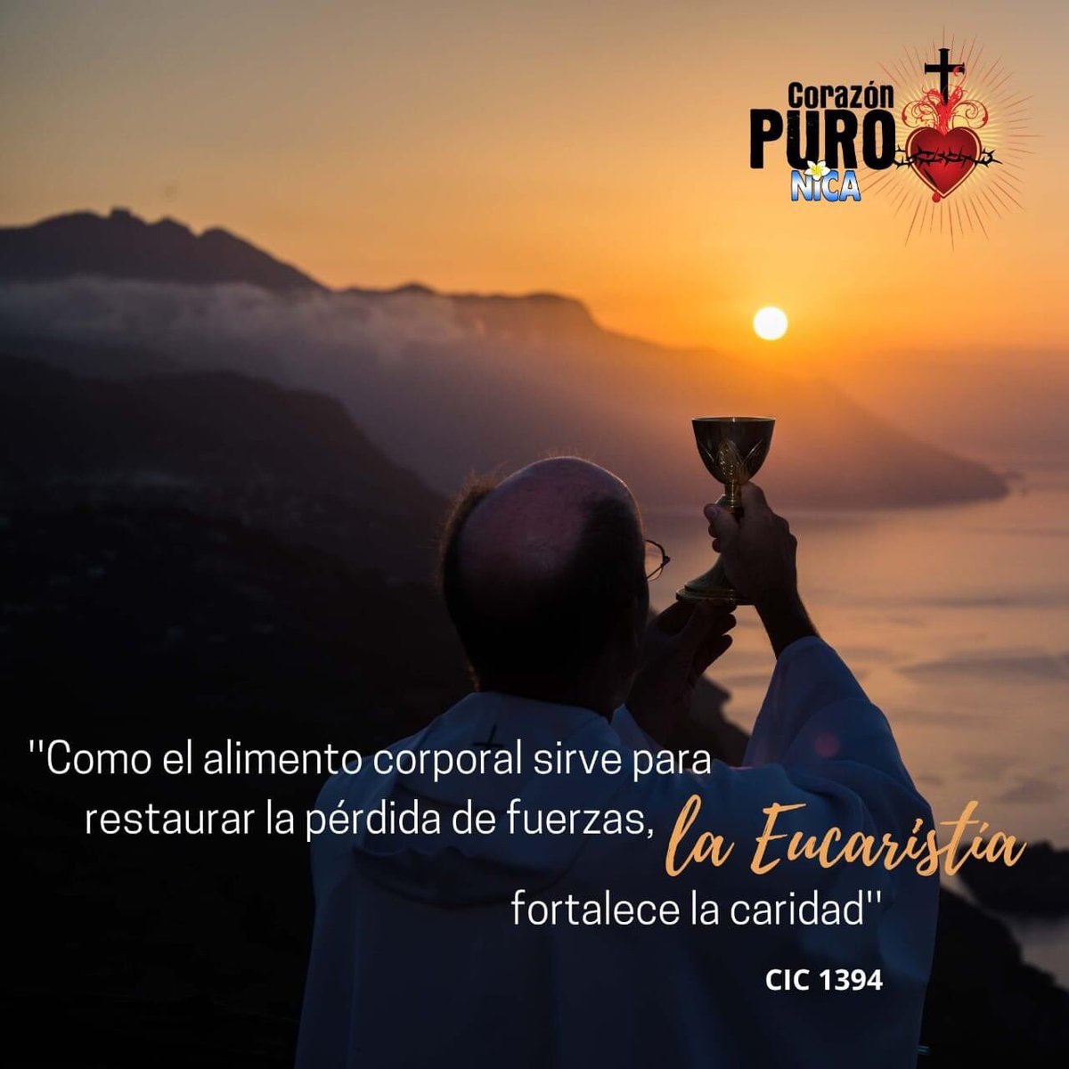 CpManagua's tweet photo. Por la misma caridad que enciende en nosotros, la Eucaristía nos preserva de futuros pecados mortales. Cuanto más participamos en la vida de Cristo y más progresamos en su amistad, tanto más difícil se nos hará romper con Él por el pecado mortal.🤍
#Cpmanagua #SantaMisa https://t.co/QUtOtvt5gl