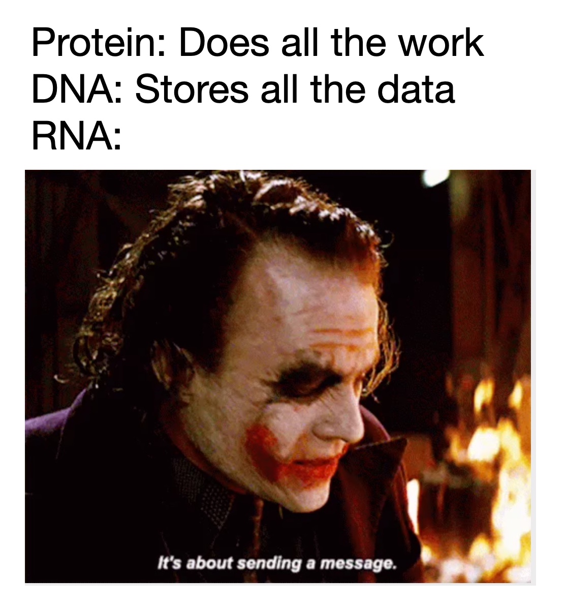 SynBio1's tweet photo. Study this meme to earn one biology course credit at meme university https://t.co/mBNN8bcIEz
