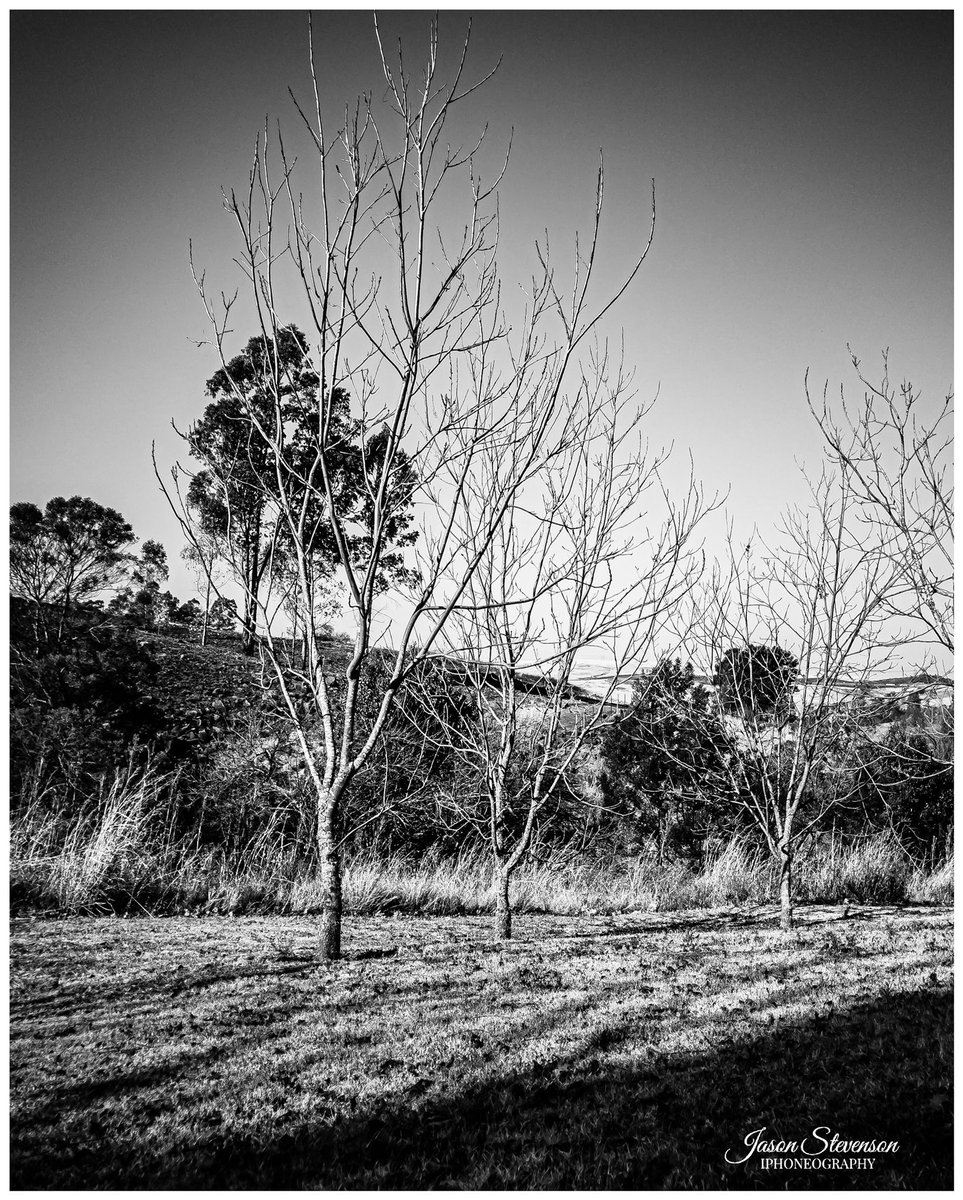 myiPhoneimages's tweet photo. #blackandwhitephotography #mobilephotography #draganeffect https://t.co/NPOLfPbCvY