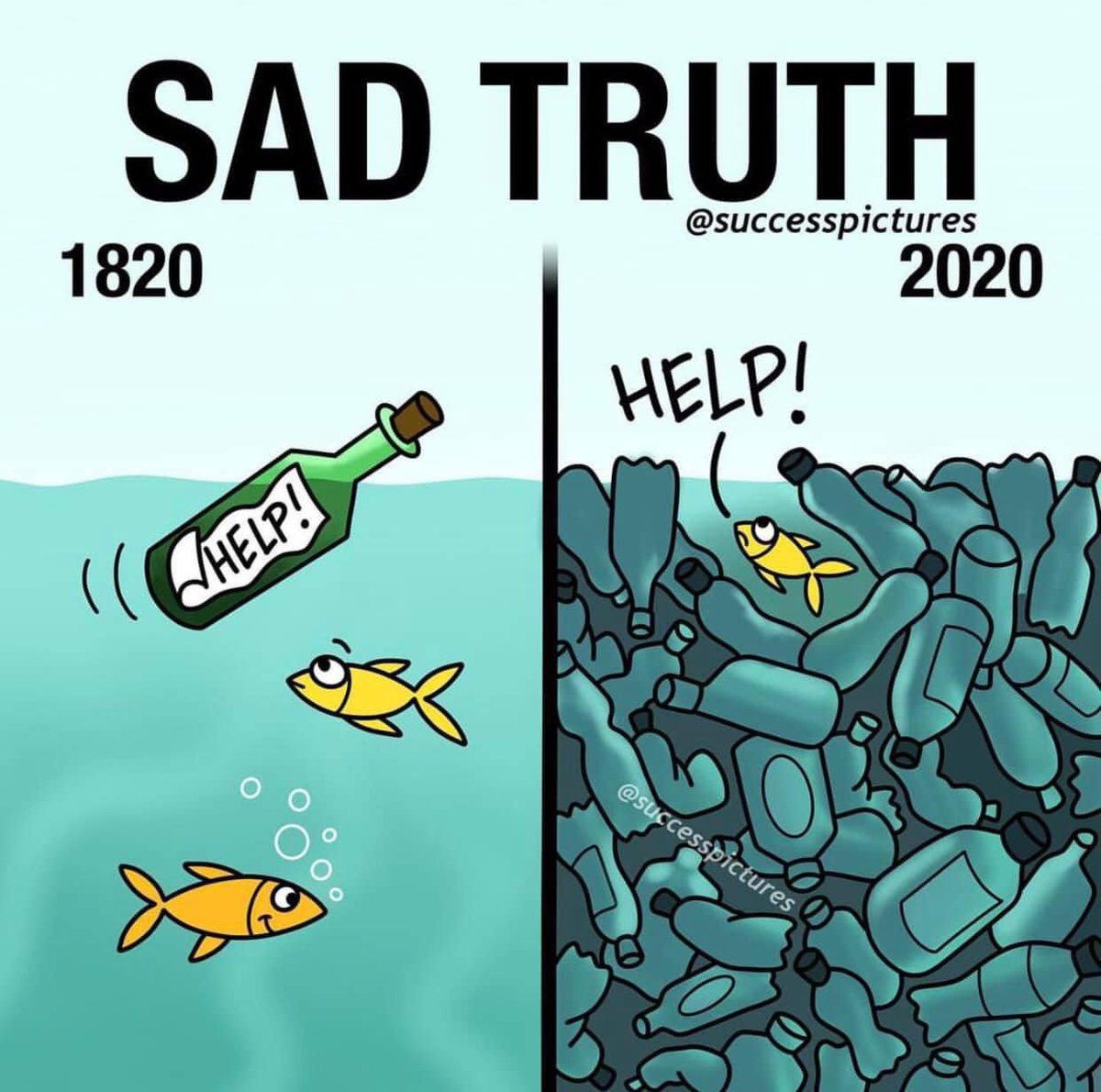 #Environment #sea #onehealth #pandemic Credit:successpictures