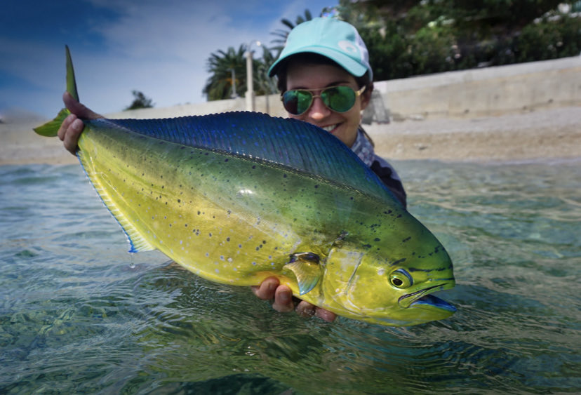 A female mahi-mahi. Watching a fishing show this morning and just amazed how beautiful they’re. #beautifulfish