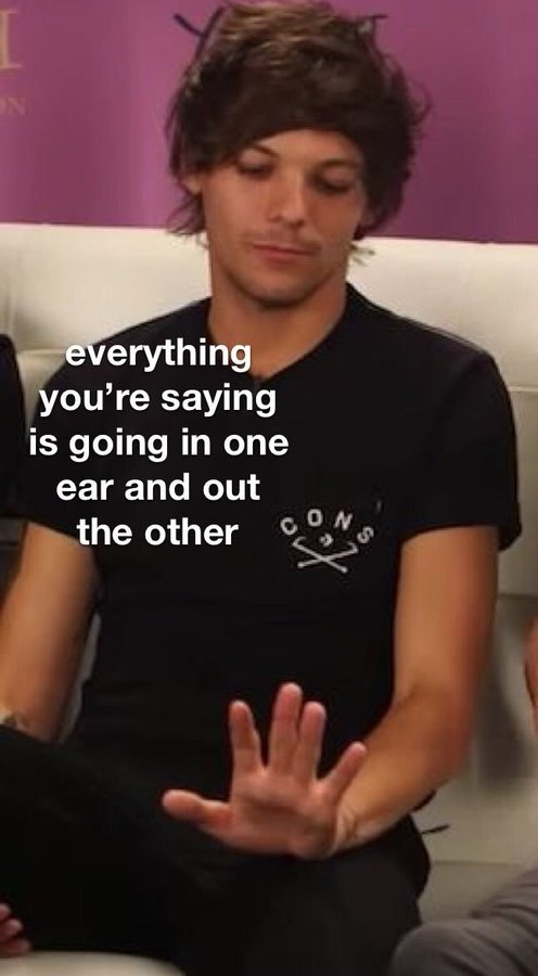 Lovelaurels93's tweet photo. @antistruggletw they are really homophobic and anti harry so Louis blocked them on insta, so I hope they have fun dealing with that... https://t.co/kirmX96Yjf