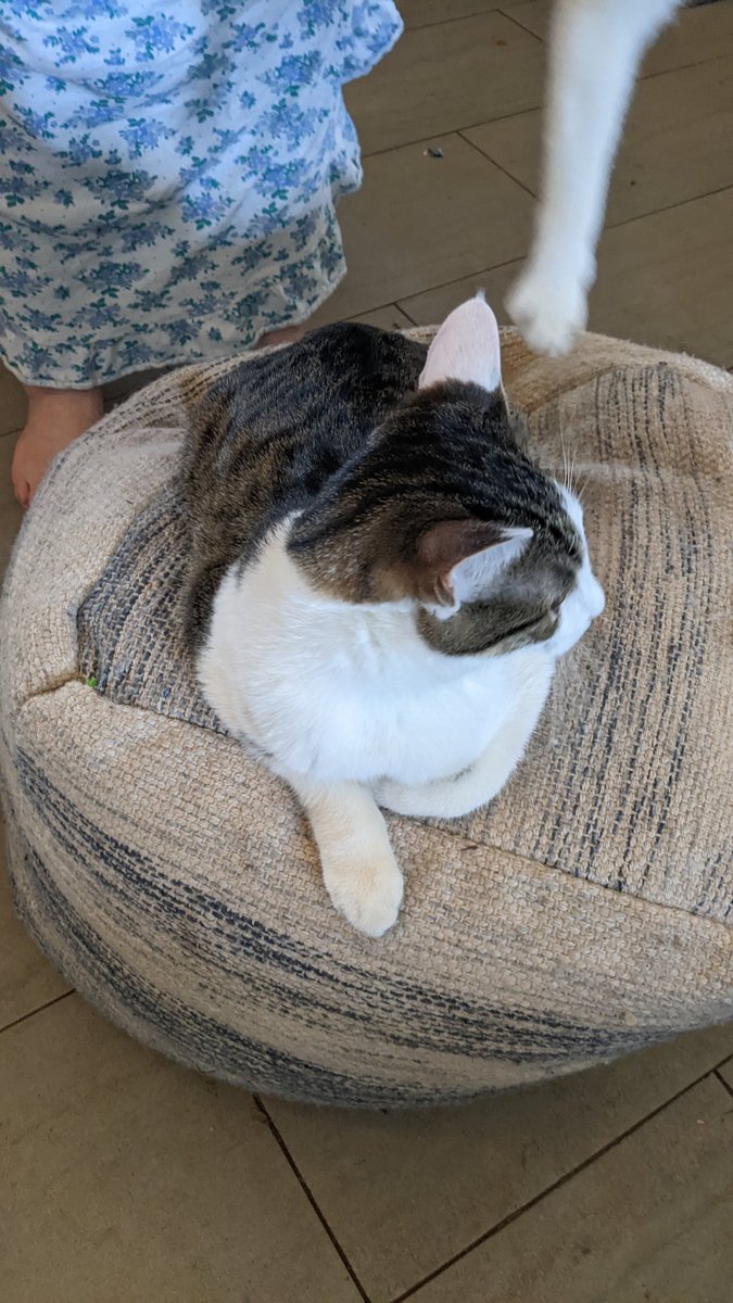 𝓐𝓷𝓰𝓮𝓵 𝓱𝓮𝓻𝓸: 𝓐𝓲𝓴𝓸 (@ang3lichero) on Twitter photo 