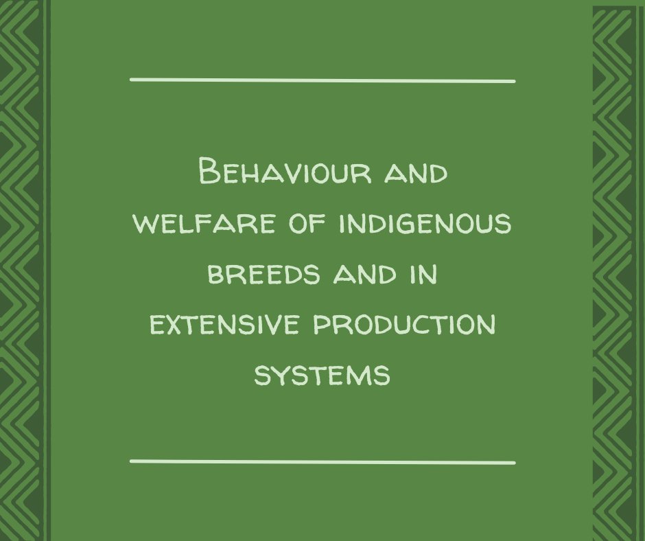 ISAE Congress 2022 tweet media