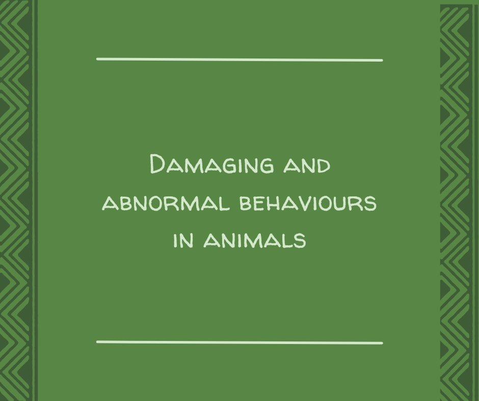 ISAE Congress 2022 tweet media