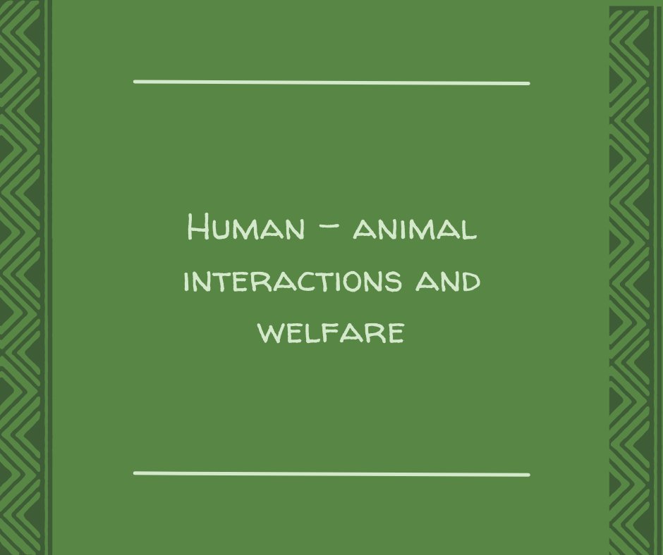 ISAE Congress 2022 tweet media